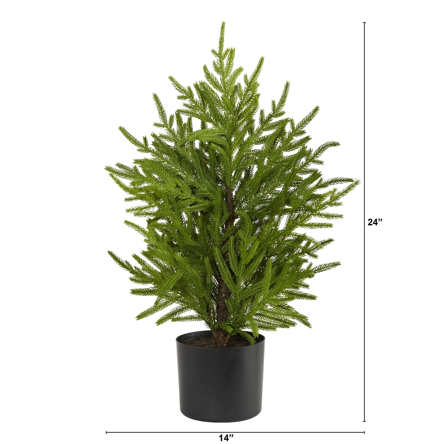 2’ Norfolk Island Pine “Natural Look” Artificial Christmas Tree In Decorative Planter 2 2’ Norfolk Island Pine “Natural Look” Artificial Christmas Tree In Decorative Planter - Image 2