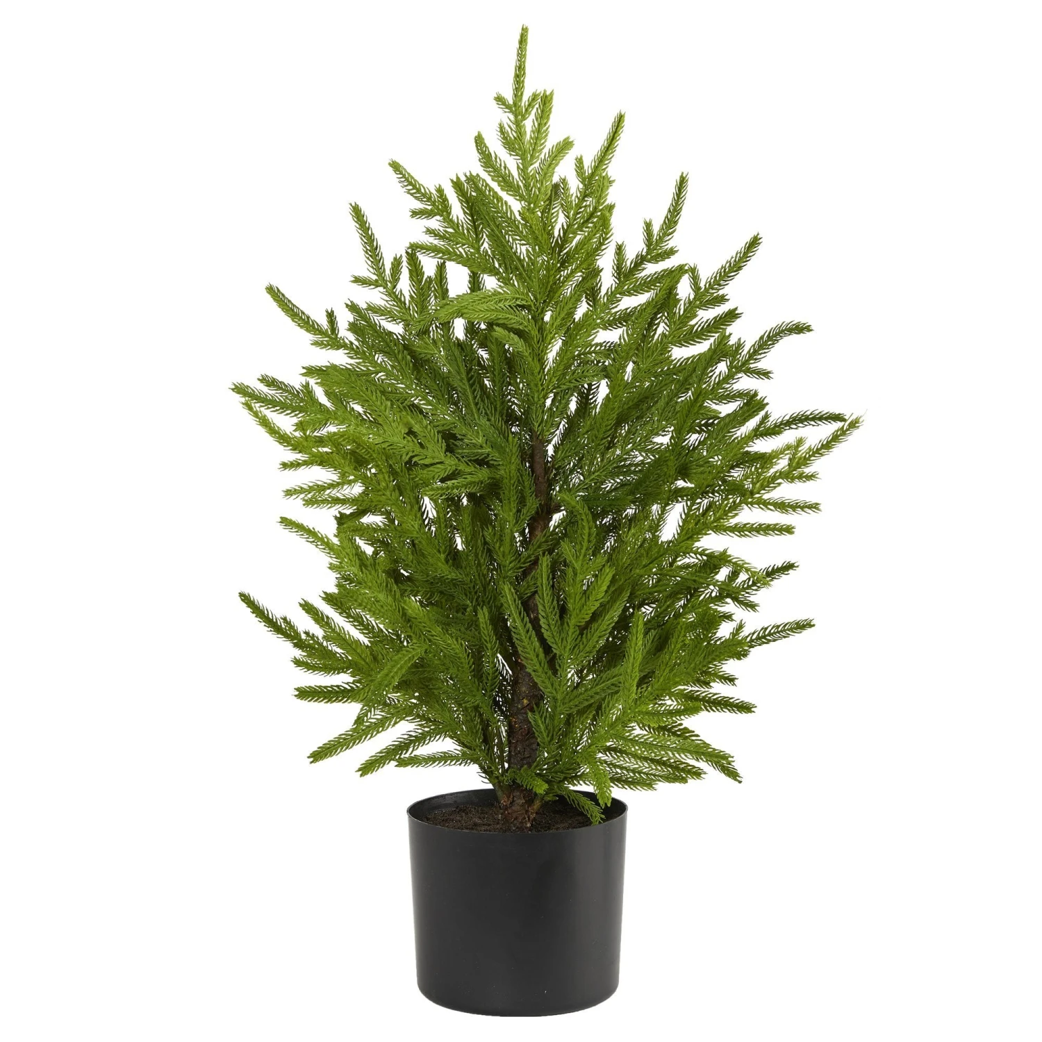 2’ Norfolk Island Pine “Natural Look” Artificial Christmas Tree In Decorative Planter 1 2’ Norfolk Island Pine “Natural Look” Artificial Christmas Tree In Decorative Planter