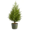 3’ Norfolk Island Pine “Natural Look” Artificial Christmas Tree In Decorative Planter