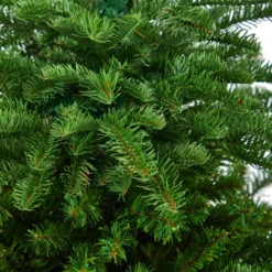 3’ South Carolina Spruce Artificial Christmas Tree With 458 Bendable Branches -Cheap Artificial Trees Store artificial 3 south carolina spruce artificial christmas tree with 458 bendable branches nearly natural 589853