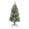 4’ Frosted Tip British Columbia Mountain Pine Artificial Christmas Tree With 100 Clear Lights, Pine Cones And 228 Bendable Branches