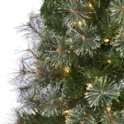 5' Cashmere Slim Artificial Christmas Tree With 250 Warm White Lights And 408 Bendable Branches 11 5' Cashmere Slim Artificial Christmas Tree With 250 Warm White Lights And 408 Bendable Branches -Cheap Artificial Trees Store artificial 5 cashmere slim artificial christmas tree with 250 warm white lights and 408 bendable branches nearly natural 754658