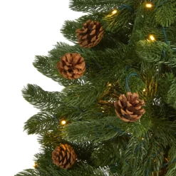 5' Rocky Mountain Spruce Artificial Christmas Tree With Pinecones And 100 Clear LED Lights -Cheap Artificial Trees Store artificial 5 rocky mountain spruce artificial christmas tree with pinecones and 100 clear led lights nearly natural 196667