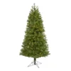 6.5' Vancouver Spruce Artificial Christmas Tree With 250 Warm White Lights And 803 Bendable Branches