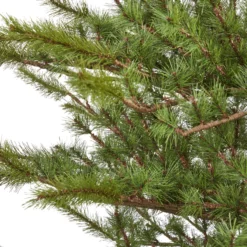 7’ Vancouver Mountain Pine Artificial Christmas Tree With 374 Bendable Branches 8 7’ Vancouver Mountain Pine Artificial Christmas Tree With 374 Bendable Branches -Cheap Artificial Trees Store artificial 7 vancouver mountain pine artificial christmas tree with 374 bendable branches nearly natural 600490