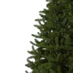 7.5’ Rembrandt Christmas Tree W/Clear Lights 11 7.5’ Rembrandt Christmas Tree W/Clear Lights -Cheap Artificial Trees Store artificial 75 rembrandt christmas tree wclear lights nearly natural 354330